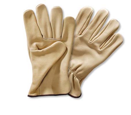Premium Gloves - BT204-image