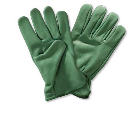 Premium Gloves - BT206-image